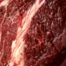 Great prospect hidden in beef production in Russia