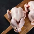 Iranian specialists inspect Russian poultry enterprises