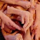 Paws of Kaluga broilers - a delicacy in China