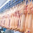 Significant increase in Russian pork exports in 2023