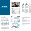 Monthly analytical review of the Russian livestock and meat markets