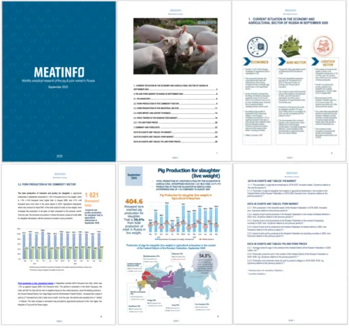 Monthly analytical review of the Russian livestock and meat markets  