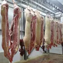 Tomsk holding company Sibagro bought a pig farm in the Kursk region