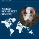 World Pig Market Review