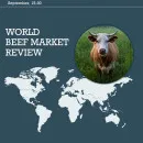 World Beef Market Review