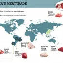 Russia`s Meat Trade - September 2021