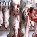 Russia banned imports of animals, meat and milk from Kazakhstan