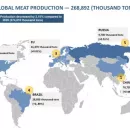 Global Meat Production in 2021