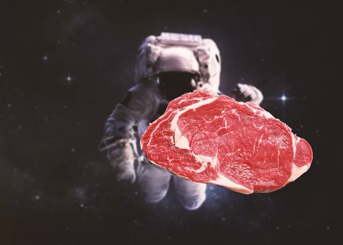 Scientists plan to grow meat in space