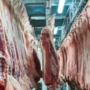 Inside a Russian Slaughterhouse