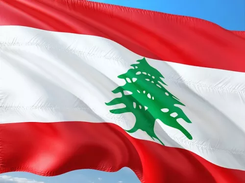 Lebanon is interested in grain and food supplies from Russia