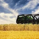 Russia set to reap largest-ever wheat harvest