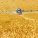 A system of traceability of pesticides and agrochemicals will appear in Russia