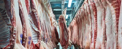 Experts discuss new rules for slaughtering livestock