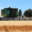 Vladimir Putin: grain harvest in Russia in 2022 may exceed 140 million tons