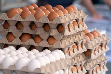 Russian poultry farmers increased egg production by 1 billion pieces