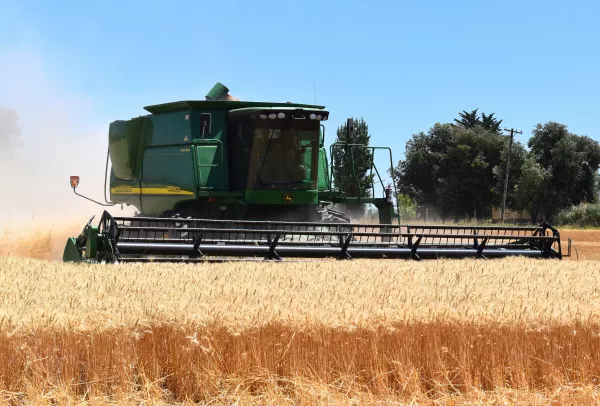 The Ministry of Agriculture estimated the potential of the gross grain harvest in 2023