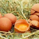 Egg production in Russia in January - June increased by 2.5%