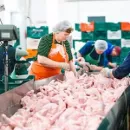 In the Russian Federation, large poultry farms are faced with the problem of labor shortages