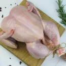 Russian government issues poultry export ban
