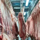 Rosselkhoznadzor began work on inspecting meat processing plants in Brazil