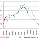 США: Обзор рынка свиней за 7 неделю от 16 февраля 2026 года