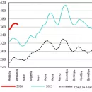 США: Обзор рынка КРС за 7 неделю от 16 февраля 2026 года
